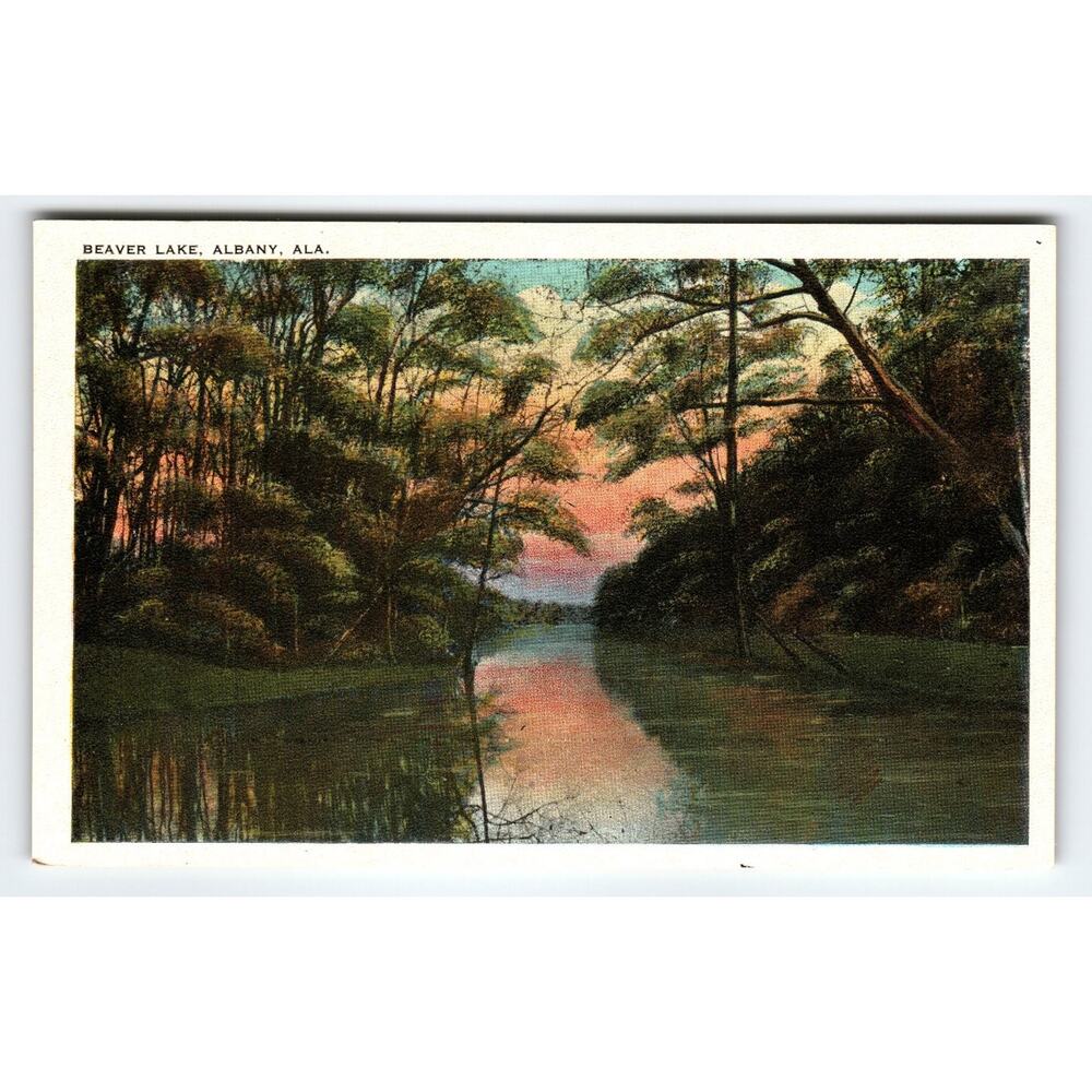 Vintage Linen Postcard Beaver Lake Albany Alabama Scenic View
